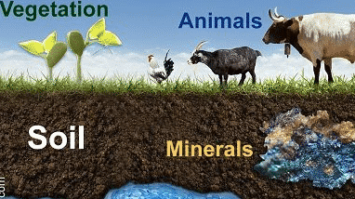 sumber-daya-alam-1-7324752-2890897-png