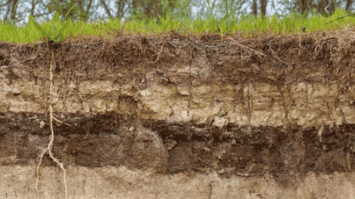 tanah-3495743-5487423-png