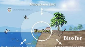 biosfer-5678631-3448104-jpg