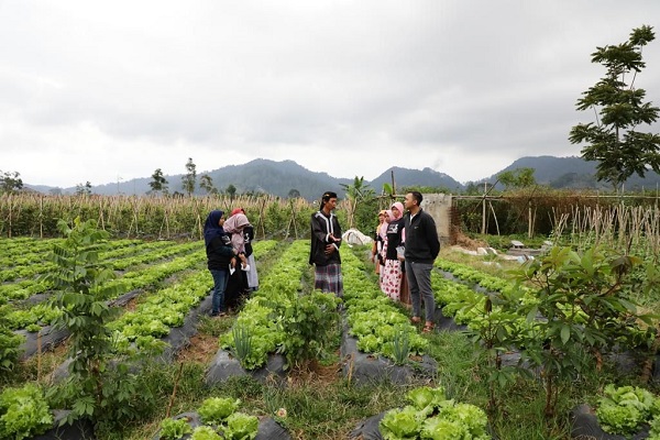 borong-hasil-petani-untuk-menggelar-bazar-sayuran-8596468-7702707-jpg