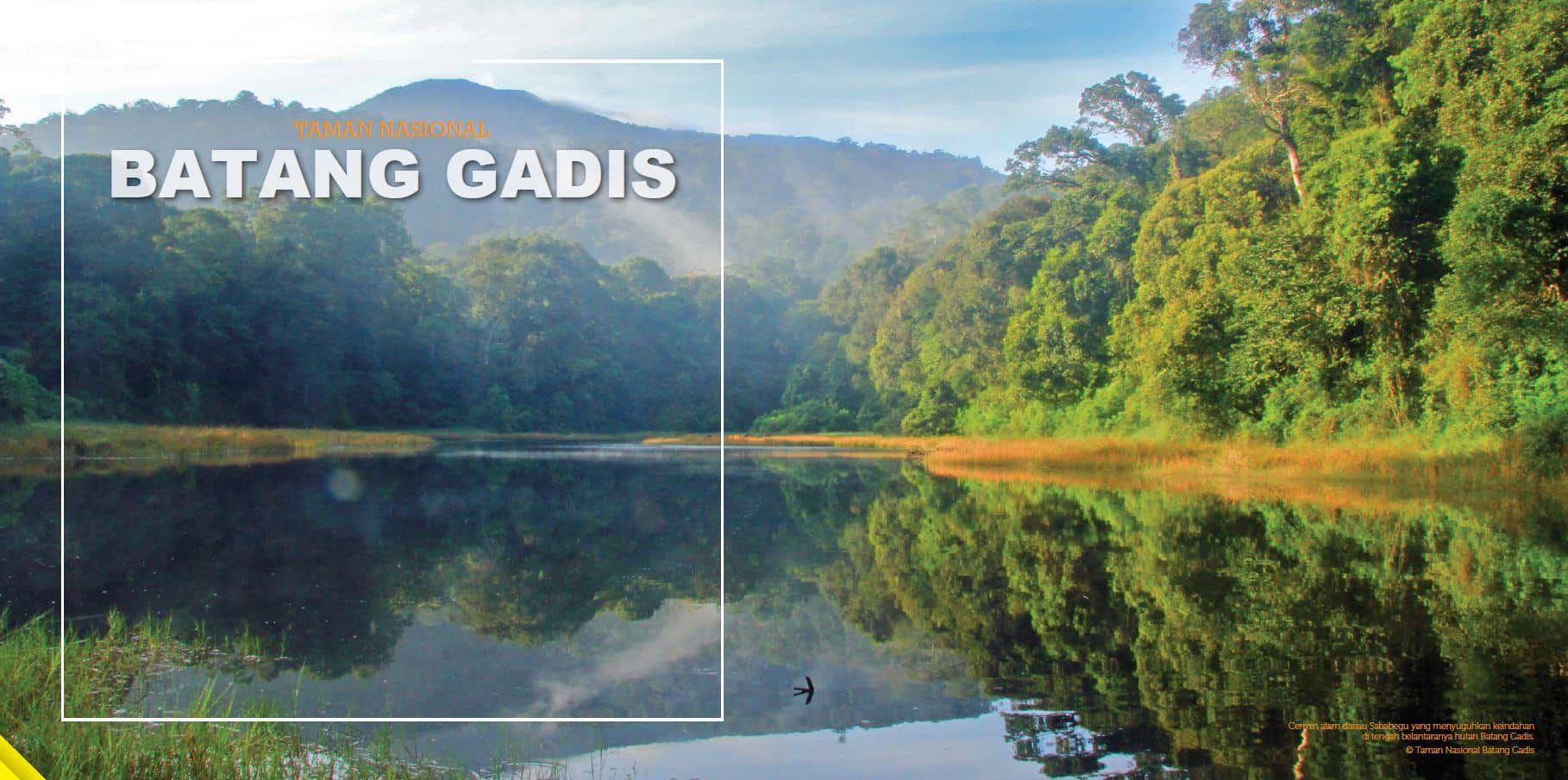 cagar-alam-batang-gadis-8963136