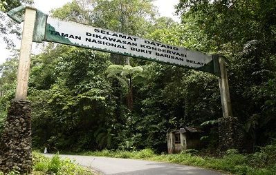 cagar-alam-bukit-barisan-selatan-8632425