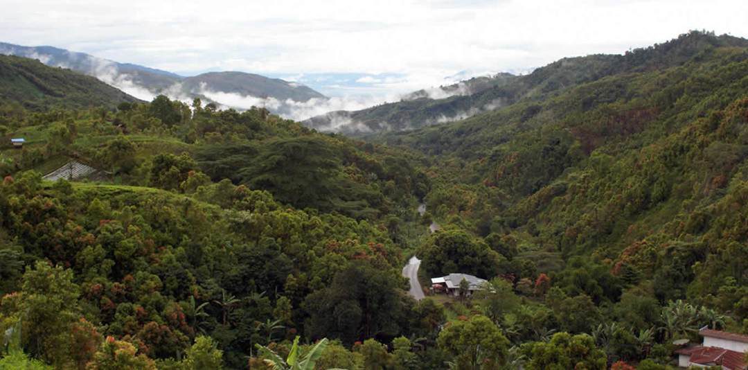 cagar-alam-bukit-dua-belas-9339603