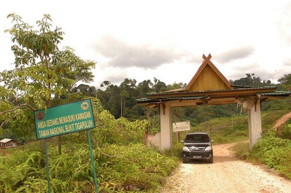 cagar-alam-bukit-tiga-puluh-7669176