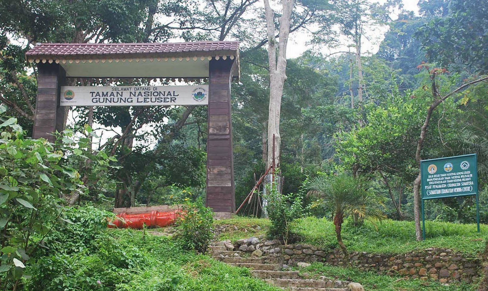 cagar-alam-gunung-leuser-4160756