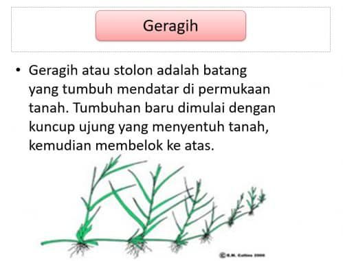 contoh-gambar-geragih-4894259