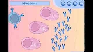 contoh-cara-tubuh-melawan-penyakit-7906924