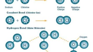 contoh-gambar-ikatan-kimia-8427784-3521107-jpg
