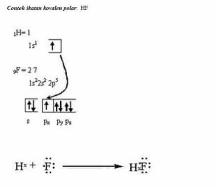 contoh-ikatan-kovalen-polar-hf-6144871