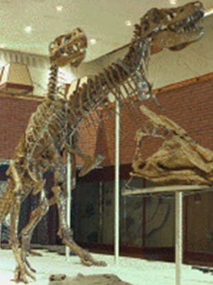 dinosaurus-cretaceous-dari-mongolia-3417742