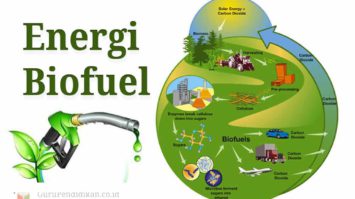 energi-biofuel-5134684-4204305-jpg