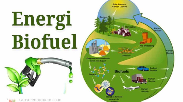 energi-biofuel-5134684-4204305-jpg