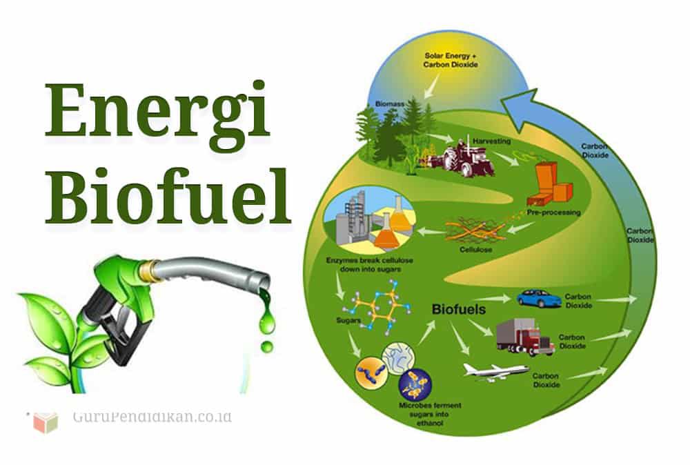 energi-biofuel-9064385