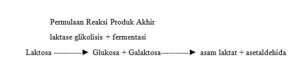 enzim-laktase-dalam-yoghurt-7442421