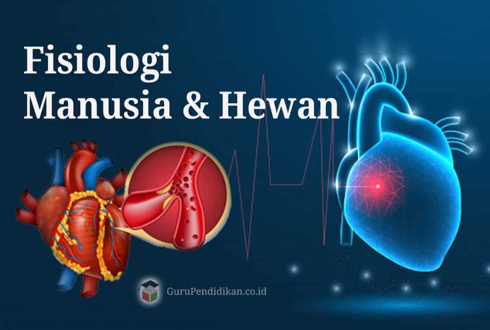 fisiologi-manusia-dan-hewan-3826813