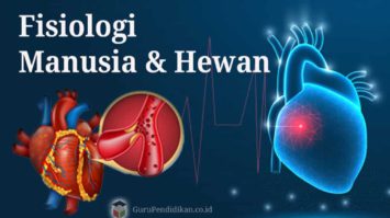 fisiologi-manusia-dan-hewan-7551275-6071800-jpg