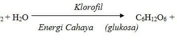 fotosintesis-adalah-9960213-9427189-jpg