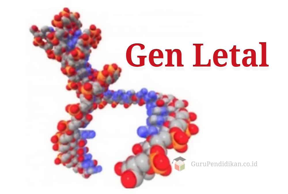 gen-letal-2799996