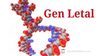 gen-letal-8243093-9361790-jpg