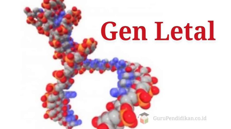 gen-letal-8243093-9361790-jpg