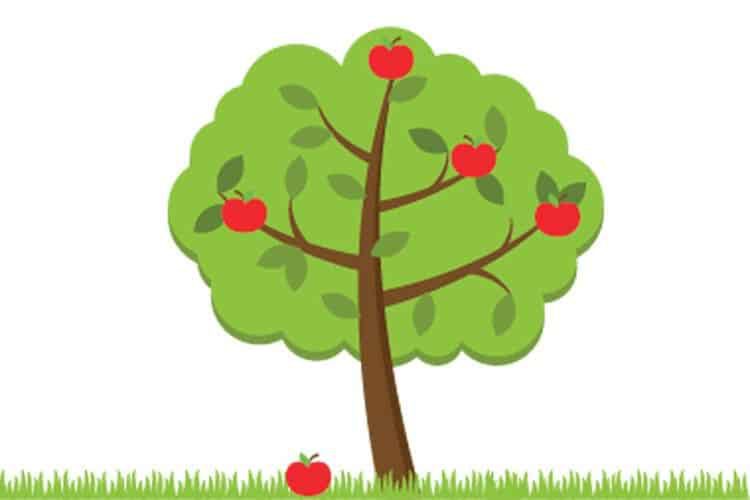 gerak-jatuh-bebas-2648914