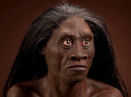 homo-floresiensis-7434390
