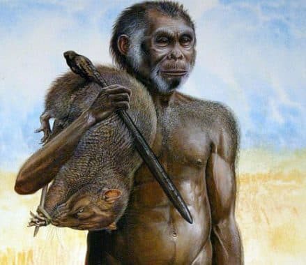 homo-wajakensis-1576279