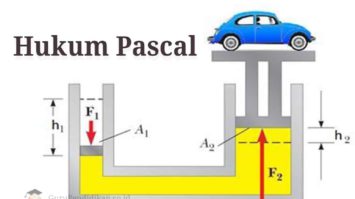 hukum-pascal-9075117-3590732-jpg