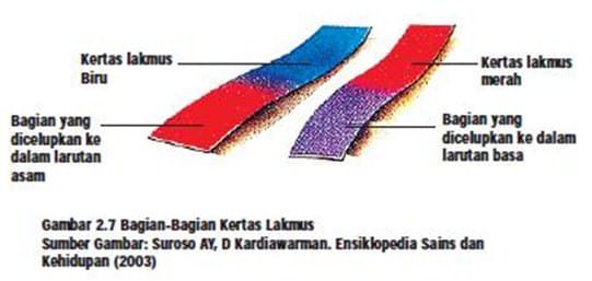 identifikasi-dengan-kertas-lakmus-1460628