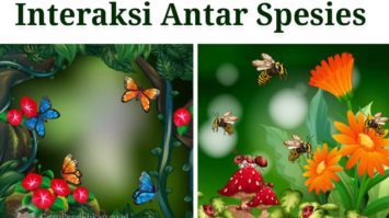 interaksi-antar-spesies-1-1608500-3994661-jpg