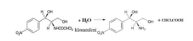 jalur-utama-degradasi-kloramfenikol-6980353