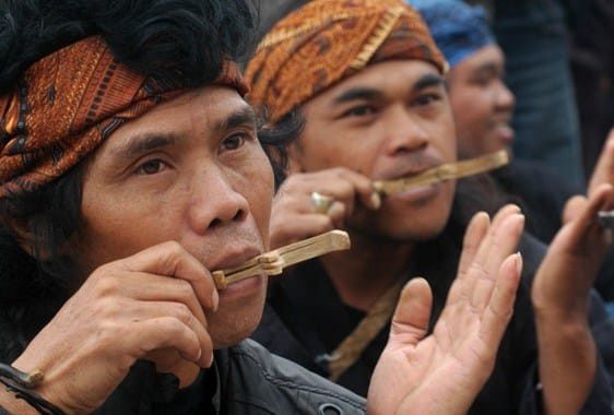 kariding-7325723