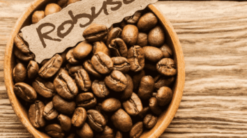 kelebihan-kopi-robusta-9318524-5161154-png