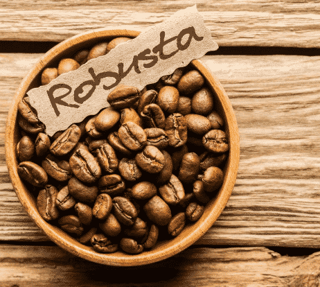 kelebihan-kopi-robusta-9318524-5161154-png