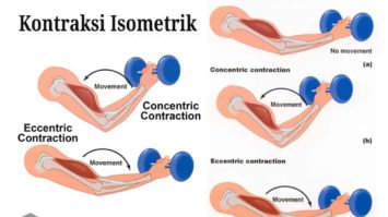 kontraksi-isometrik-1-1112086-5101991-jpg