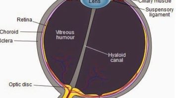 mata-1547580-7000660-jpg