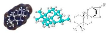 molekuler-8305949-2400133-jpg