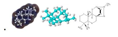 molekuler-8305949-2400133-jpg