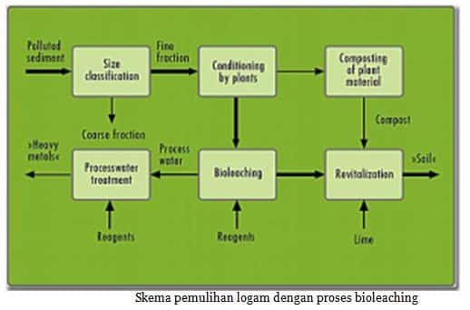 manfaat-thiobacillus-ferrooxidans-logam-besi-7362304