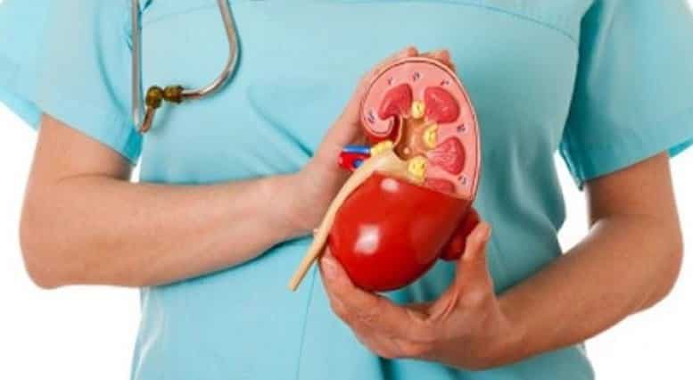 menjaga-organ-ekskresi-agar-tetap-sehat-1882018