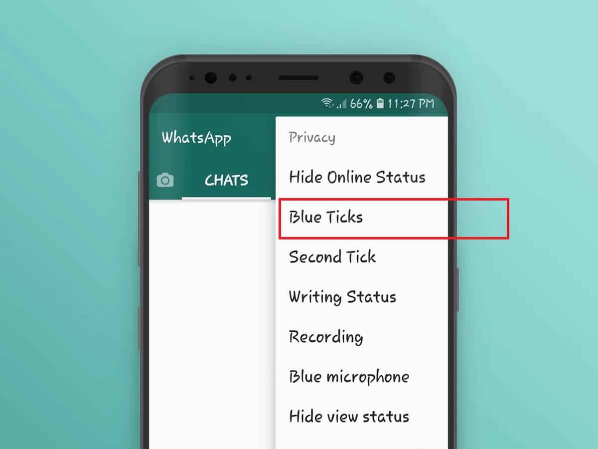menyembunyikan-centang-dua-biru-dan-pesan-terkirim-9820674