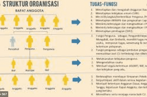 organisasi-adalah-4946233-7746719-png