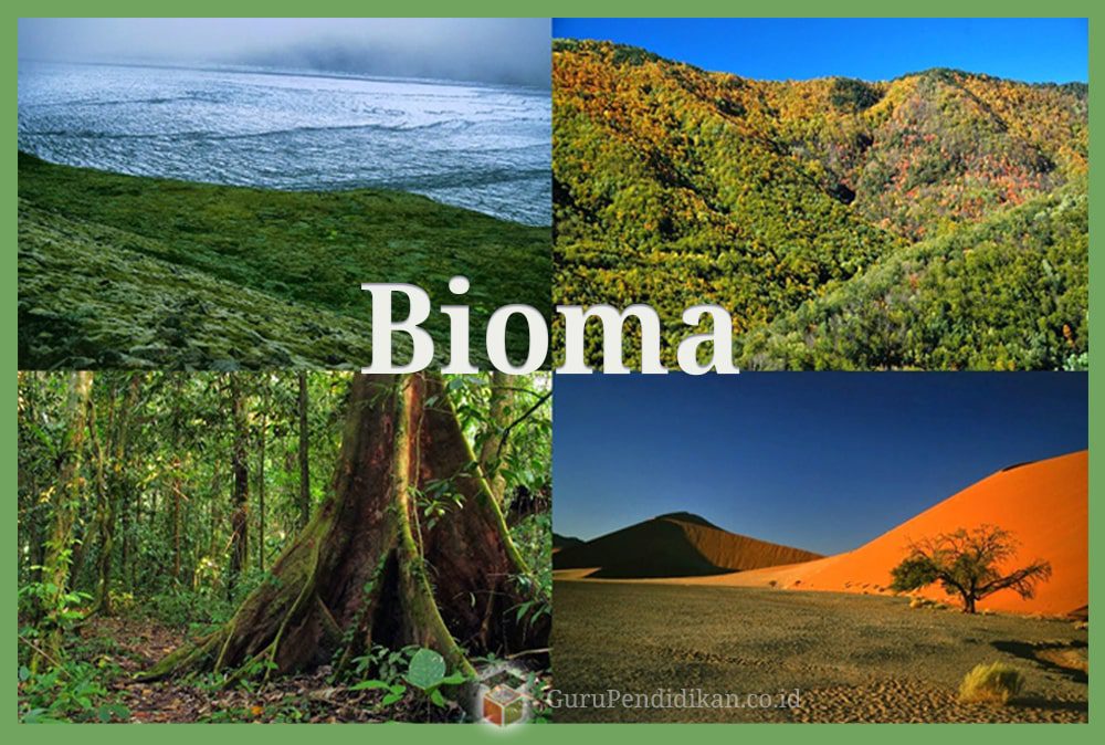 pengertian-bioma-4111344