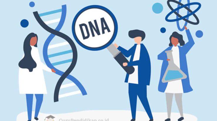 pengertian-dna-3889309-4895486-jpg