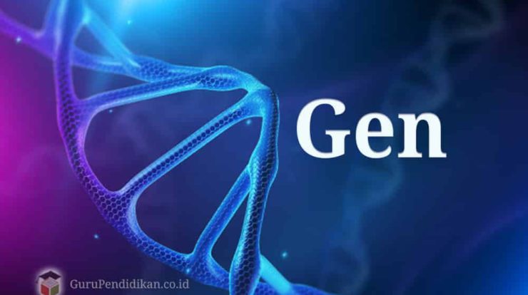 pengertian-gen-beserta-struktur-dan-sejarahnya-1699317-5444567-jpg