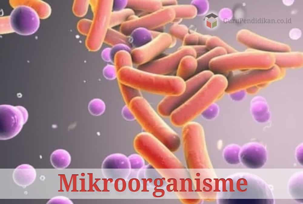 pengertian-mikroorganisme-1483694