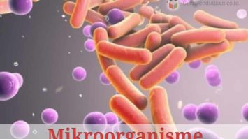 pengertian-mikroorganisme-2738924-1536089-jpg