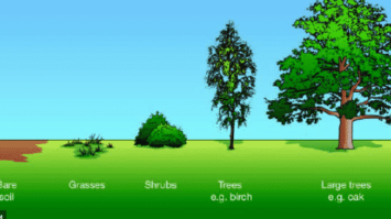 pengertian-suksesi-8202391-5903823-png