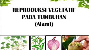 perkembangbiakan-vegetatif-pada-tumbuhan-8301488-8356259-jpg