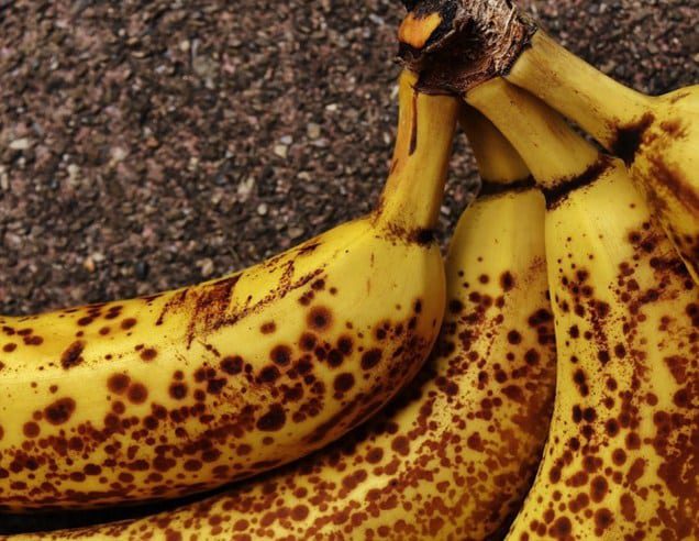 pisang-yang-membusuk-4394113